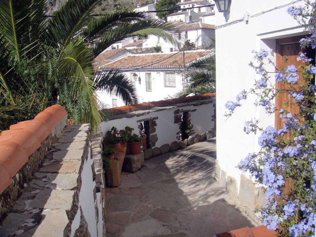 Apartamentos Buganvilla Villaluenga Del Rosario Szoba fotó